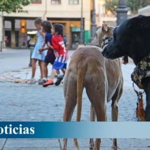 En León hay el triple de perros que  niños