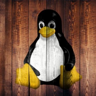 Prueba más de 200 distros de Linux sin instalar nada