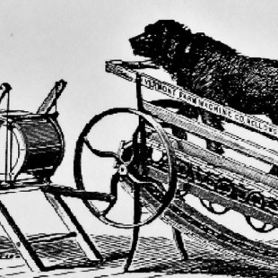 Las máquinas impulsadas por perros de la época victoriana