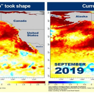 Se vislumbra una nueva ola de calor devastadora en el Pacífico