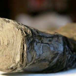 Pergaminos carbonizados por el Vesubio podrían volver a leerse