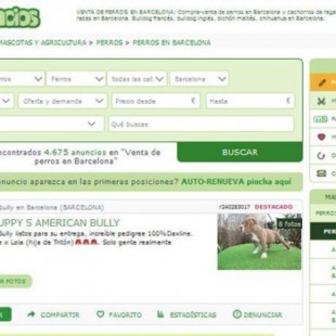 Barcelona abre un expediente para sancionar con 150.000 Euros a Milanuncios y Vibbo