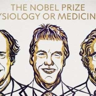 William G. Kaelin, Gregg L. Semenza y Peter J. Ratcliffe ganan el Nobel de Medicina