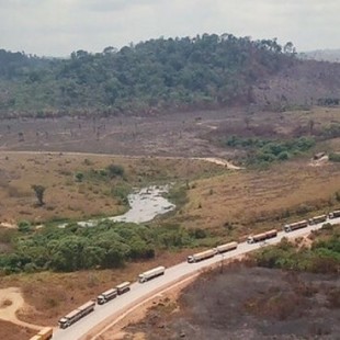 Una caravana de camiones desembarca en el Amazonas recién abrasado por los incendios