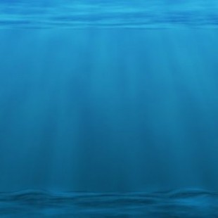 La acidificación del océano explicada y por qué es un grave problema