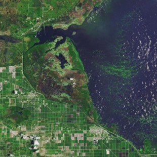Los lagos de todo el mundo están experimentando floraciones de algas más severas (ENG)