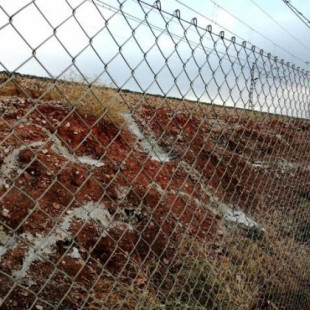 ADIF sepulta vivos a miles de conejos en Jaén al llenar de cemento sus madrigueras