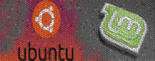 ¿Desplaza Mint a Ubuntu como la distro más usada por los neófitos?