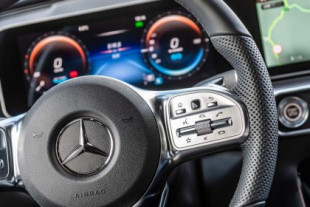 Un raro caracol frustra la importación a Australia de 900 Mercedes Benz [ENG]