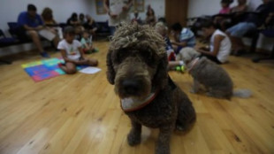 En Cádiz hay el triple de perros que niños menores de 10 años