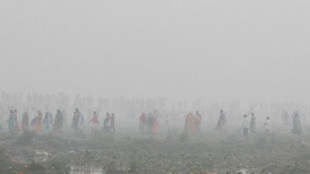 Nueva Delhi alcanza niveles de contaminación insoportables