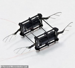 RoboBee: un robot insecto volador con músculos "suaves"