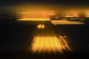 Invernaderos LED vistos desde el aire