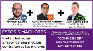 PP y Cs apoyan conceder 100.000 euros a "un 'chiringuito' antiaborto" de Vox en El Puerto