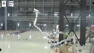 Un brazo robótico inflable de 20 metros de longitud