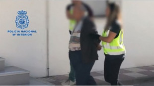Detenido en Málaga a un pedófilo de 62 años por abusar de siete niñas