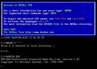 ¿Qué era el DOS/4GW Professional Protected Mode Run-Time?
