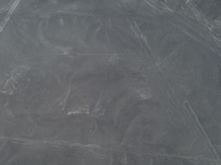 Científicos japoneses descubren 143 nuevos geoglifos en las Líneas de Nazca en Perú [ENG]