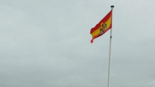 Izan una bandera franquista en una plaza de Navas del Rey