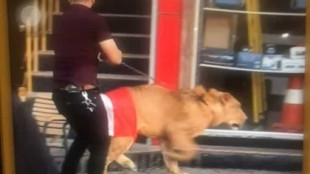 Un manifestante en Iraq lleva a un león para enfrentarse con la policía [POR]