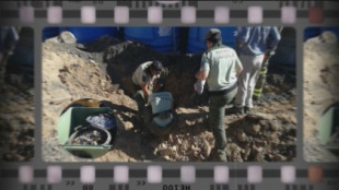 Hallan 800 kilos de pilas enterradas en una zona protegida de Valdemorillo