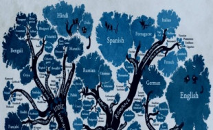 ¿Qué son las lenguas aglutinantes y cómo se usan?