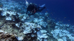Poner altavoces al lado de los arrecifes de coral muertos ayuda a resucitarlos