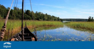 Los vikingos disfrutaron de una Groenlandia mucho más cálida de lo que se cree