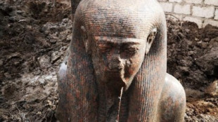 Hallan en Egipto un busto único de Ramsés II: por qué es el descubrimiento "más raro"
