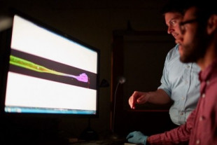 Este señor cultiva electrodos vivos en un laboratorio de Pensilvania para crear el implante cerebral definitivo