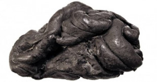 Un ‘chicle’ de hace 6.000 años conserva el ADN de la chica que lo mascaba