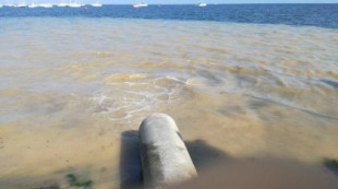 Pacto por el Mar Menor denuncia nuevos vertidos a la laguna sin que nadie lo impida