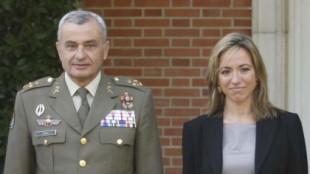 Un exjefe del Ejército pide a “los poderes del Estado” que impidan la investidura de Sánchez si pacta con ERC