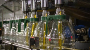 El 'annus horribilis' del aceite: "Es más rentable dejar la aceituna en el olivo"