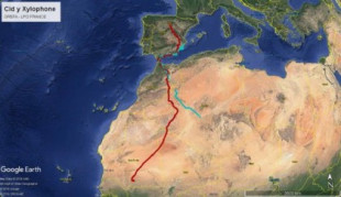 Deseamos la mejor de las suertes a 'Cid' y 'Xylophone', primeros buitres negros con GPS que cruzan a África