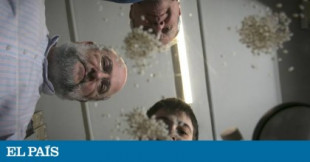 Científicos españoles contra el fraude del arroz