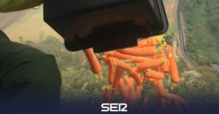 Miles de zanahorias "caen" del cielo para salvar a los animales en Australia