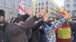 Empujones, saludos nazis y el 'Cara al sol' en la manifestación de Vox en Barcelona