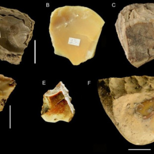 Los neandertales buceaban varios metros para recoger conchas