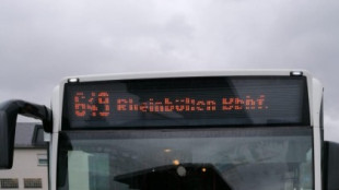 Eva ya conduce un autobús en Alemania: el país necesita medio millar de conductores de bus