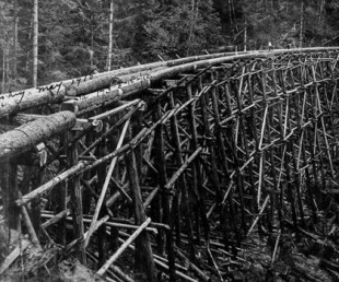 Los leñadores que talaron los árboles gigantes de la Columbia Británica [eng]