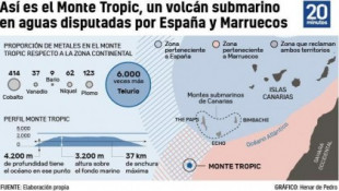 Tropic, el tesoro submarino por el que pugnan España y Marruecos y que aún está lejos de ser alcanzable