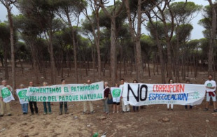 La Junta de Andalucía autoriza la urbanización del pinar de Barbate