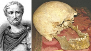 El cráneo hallado en Estabia en el año 1900 es de Plinio el Viejo [ITA]