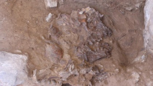 Un nuevo esqueleto encontrado ayuda a demostrar que los neandertales enterraban con flores a sus muertos