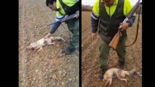 Multan con 4.000 euros al cazador que en 2018 maltrató a un zorro hasta matarlo