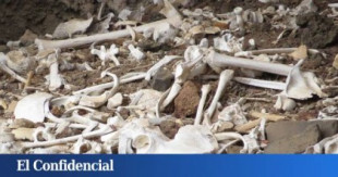 Canarias: encuentran intacta una cueva funeraria prehispánica