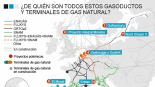 ¿Qué se juega España en Argelia?... Mucho más que petróleo y gas