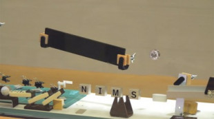 Una máquina de Rube Goldberg «transparente»