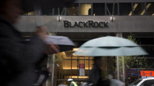 Por qué BlackRock domina el presente y el futuro del mundo